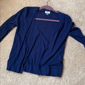 Blue Cardigan
